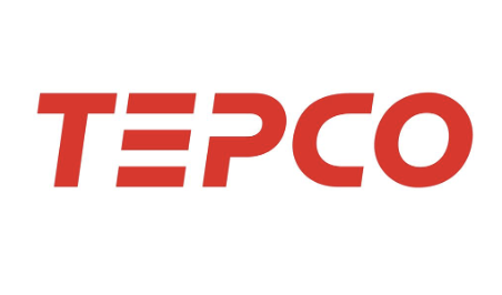 TEPCO Holdings